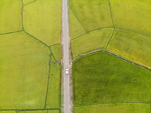 Ảnh thumbnail trip - Lịch trình Lịch trình đi checkin cánh đồng lúa vàng hot ở An Nhứt Bà Rịa - xuất phát từ Hồ Chí Minh