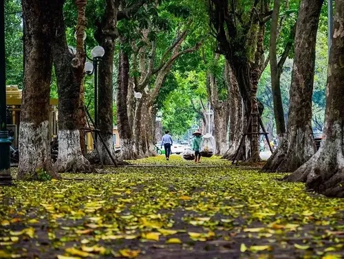 Avatar của Thu Hà Nội - Tripical | Ứng dụng du lịch Việt